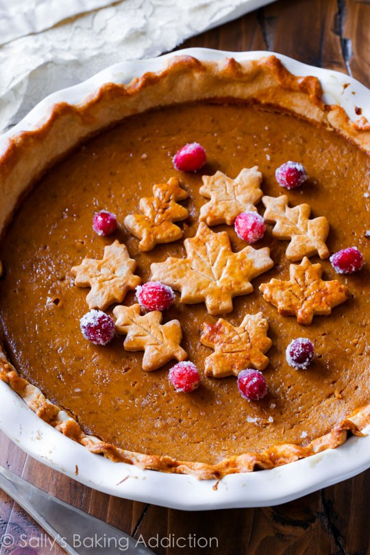 The great pumpkin pie recipe