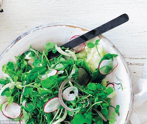 The green counterbalance salad