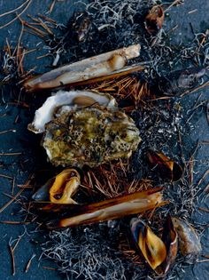 The ground-dwellers