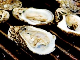 The oyster roast