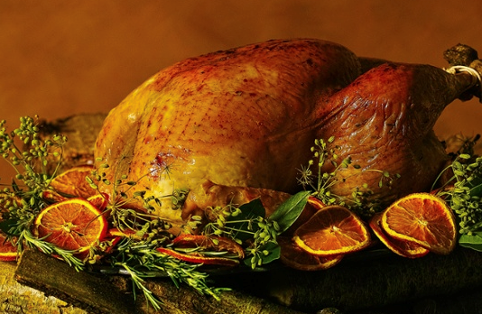 The turkey