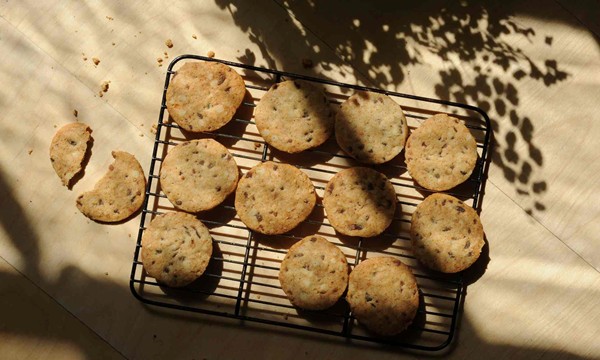 The winning recipe: anchovy, cheese and pine-nut biscuits 