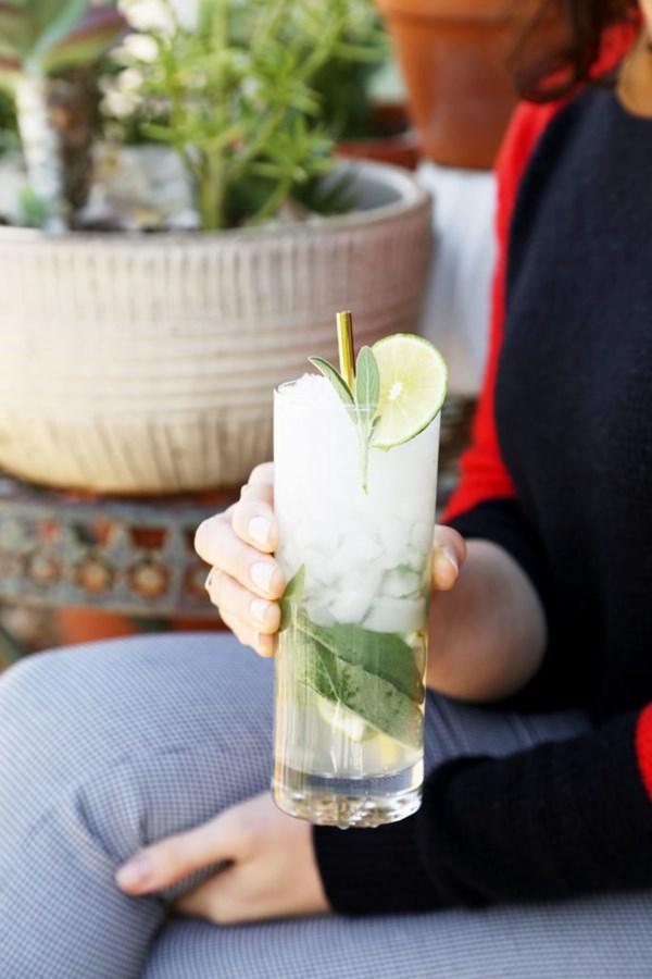 The winter gin and tonic