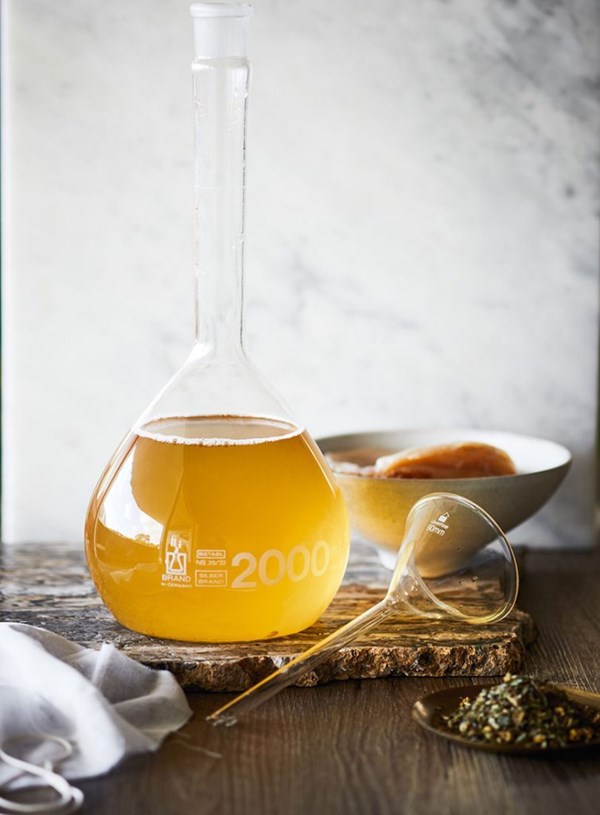 Therapeutic herbal kombucha