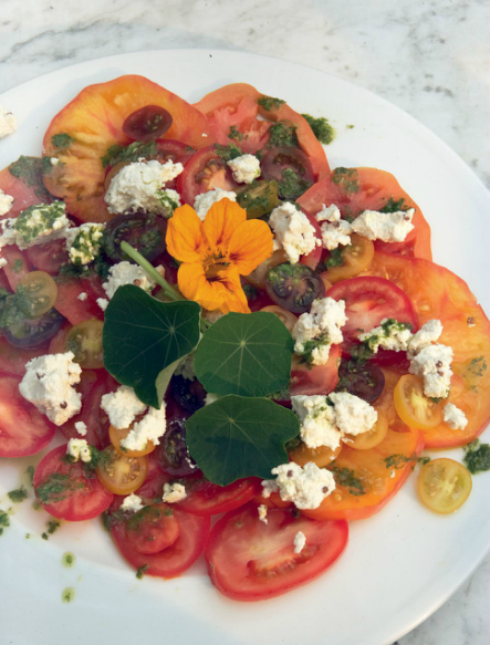 Thousand-tomato salad with "home made" goat's milk ricotta and coriander & basil oil