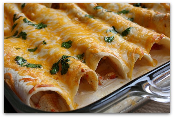 Three cheese chicken enchiladas