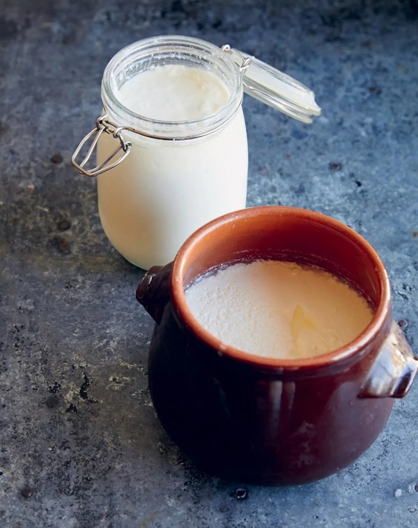 Tibetan yogurt