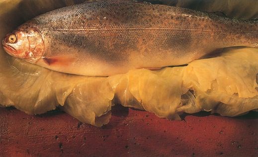 Tile-baked trout in cabbage leaves (Kiremitte alabalik)