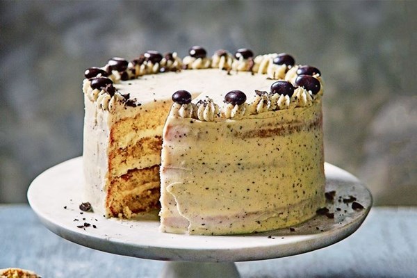 Tiramisu celebration cake