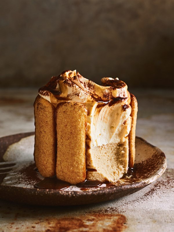 Tiramisu cheesecakes