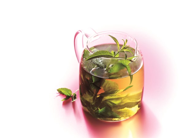 Tisane with mint and lemon verbena
