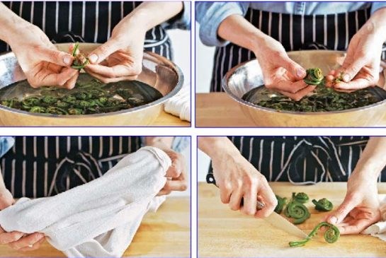 To clean and prep fiddleheads