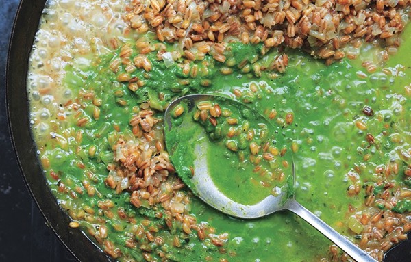 Toasted barley risotto with spinach and herb purée