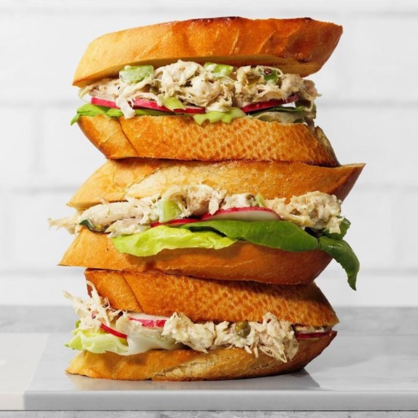 Toasted chicken salad sandwiches