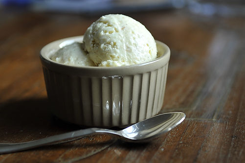 Toasted coconut gelato