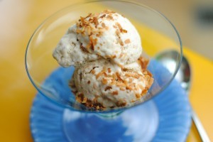 Toasted coconut ice cream