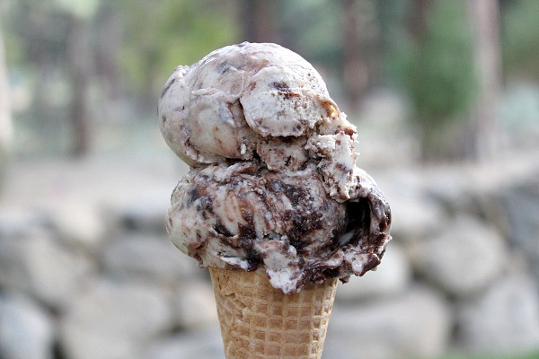 Toasted marshmallow-brownie malt ice cream