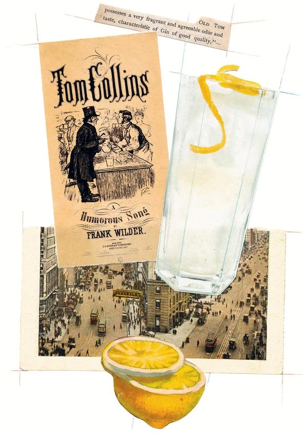 Tom Collins