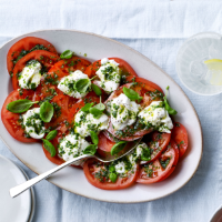 Tomato salad with burrata and basil oil