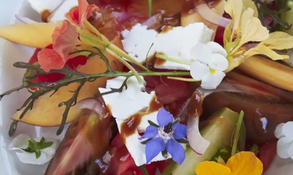 Tomato salad with nectarines and feta