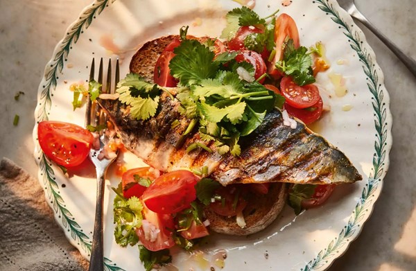 Tomatoes on toast with charred mackerel fillets
