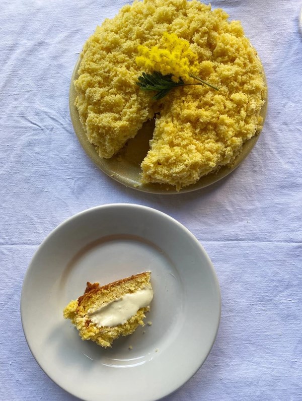 Torta mimosa