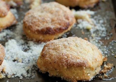 Tortas de aceite