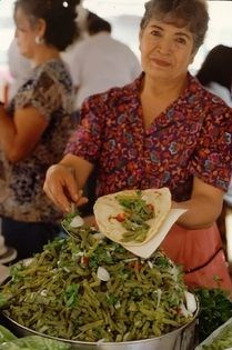 Tortillas in pumpkin-seed sauce with hard-boiled eggs (Papadzules)