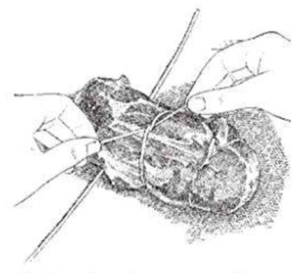Trimming and tying chuck-eye roast