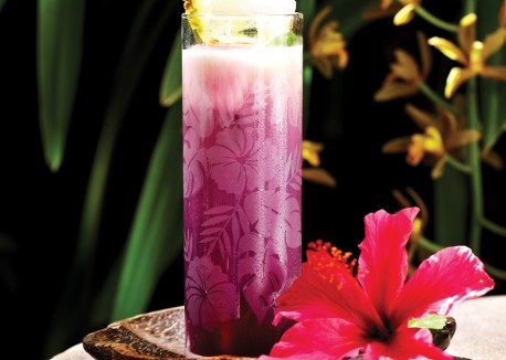 Tropical hibiscus cooler