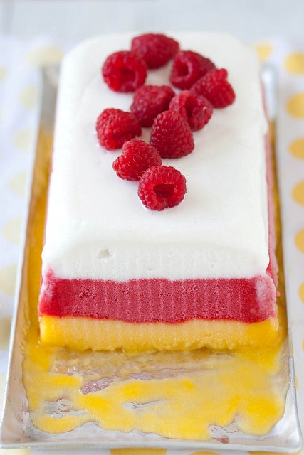 Tropical sorbet terrine