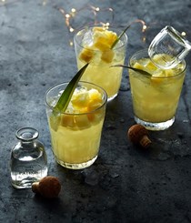 Tropical swizzle