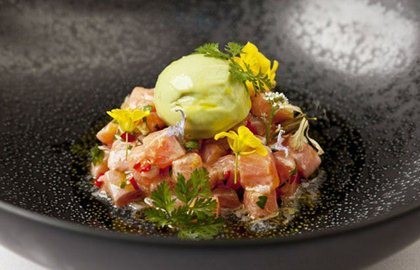 Trout ceviche with avocado sorbet