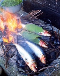 Trout stuffed with herbs cooked in lettuce leaves (Truites aux herbes en chemise)
