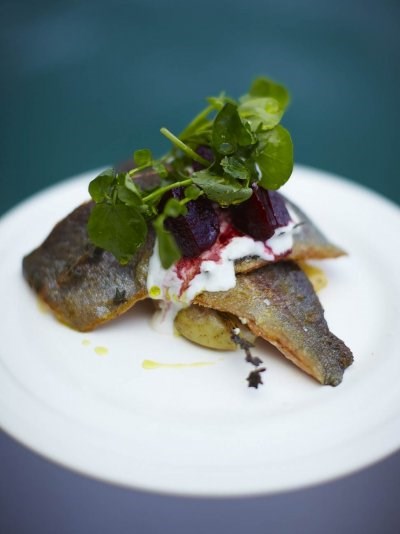 Trout with horseradish yoghurt & beets