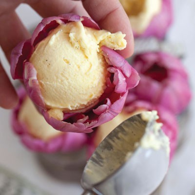 Tulip ice cream bowls