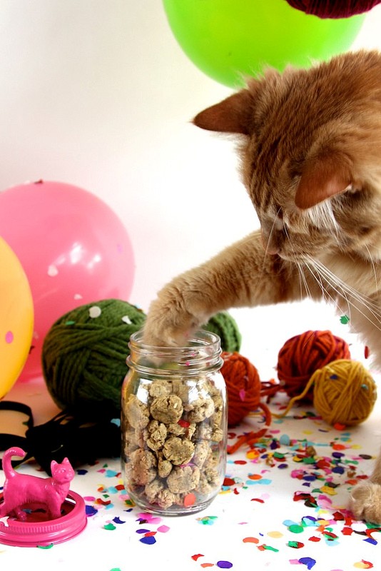 Tuna catnip kitty treats