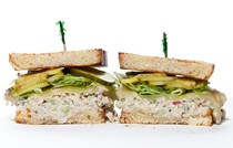 Tuna melt