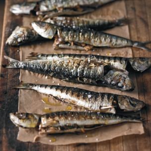 Tuna-stuffed grilled sardines (Sardine alla griglia con tonno)