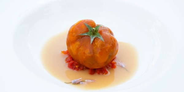 Tuna, tomato and frisella