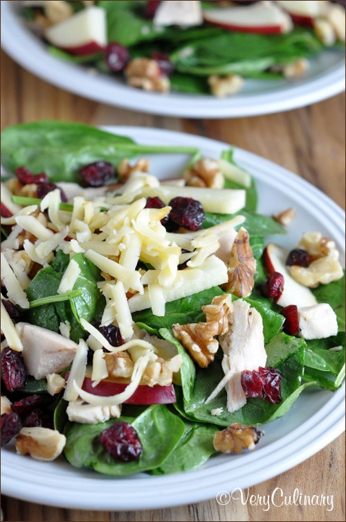 Turkey and cranberry salad with toasted pecans and smoked Gouda