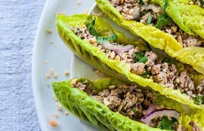 Turkey laab