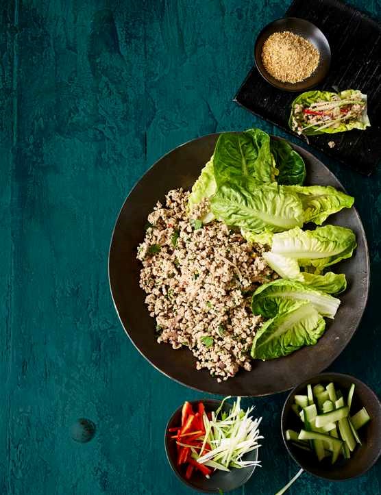 Turkey larb