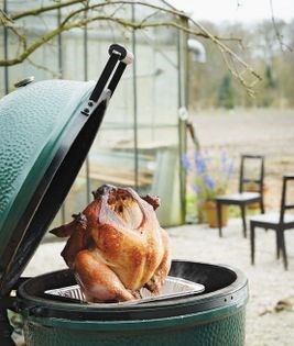 Turkey on a poultry stand
