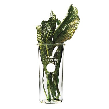 Tuscan kale chips
