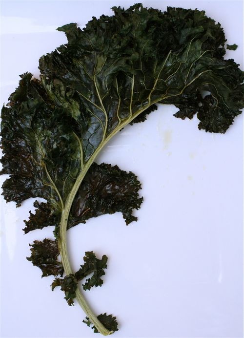 Tuscan kale chips