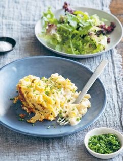 Two-cheese macaroni