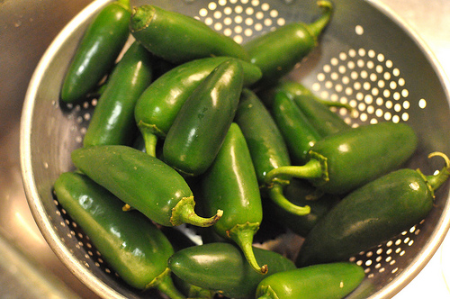 Unfancy pickled jalapeno peppers