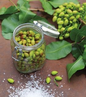 Unripe grapes in brine (Ghureh-ye shur)