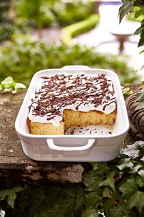 Vanilla and chocolate tres leches cake